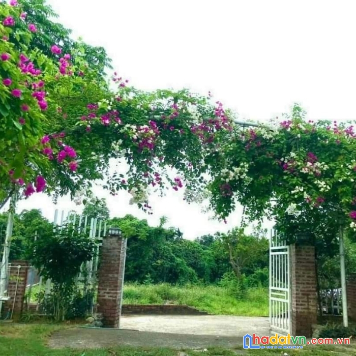 Hàng hiếm nghỉ dưỡng cư yên 1000m - sẵn biệt thự - khuôn viên đẹp - giá 6.x tỷ