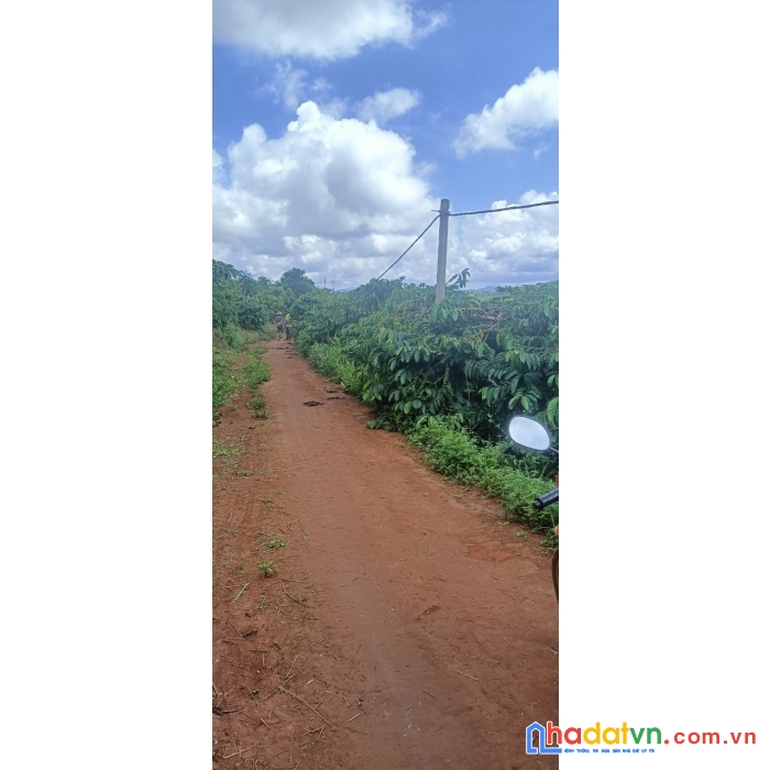 Đất thanh lý ngân hàng