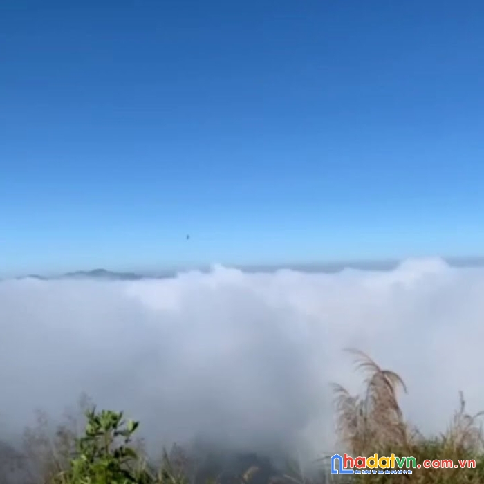 Hot hot hot bán lô đất thổ cư view săn mây sổ riêng từng nền ở lộc quảng