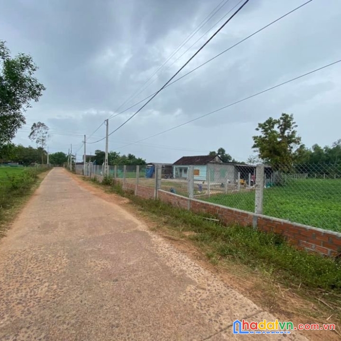 Bán sào đất để làm nhà vườn, câu cá, ăn nhậu cuối tuần 1043m2 giá 2.5 tỷ đường bê tông