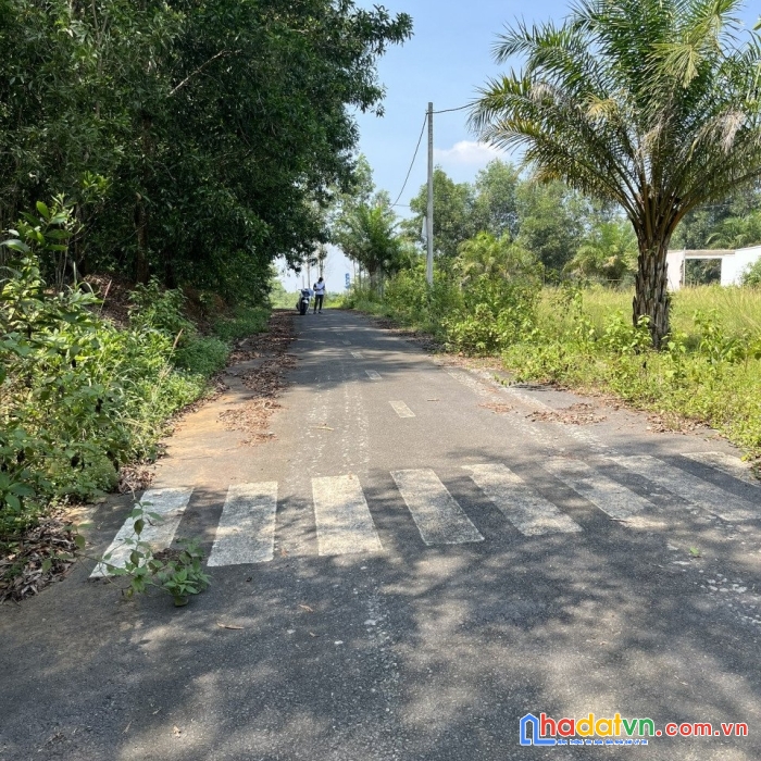 Bán đất thổ cư 120m2 tại huyện long thành, đồng nai giá chỉ 1,5 tỷ