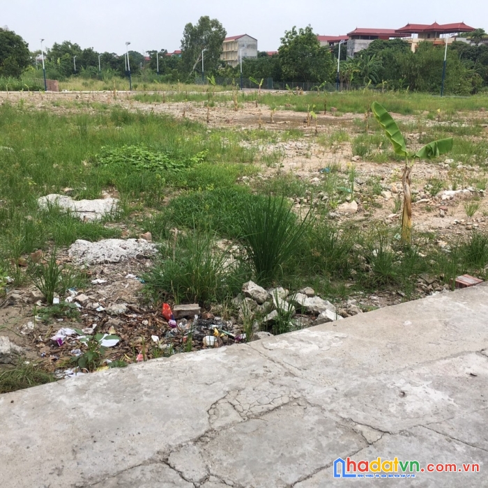 Chính chủ cần bán gấp 3 lô ở thôn thất gian - xã châu phong - huyện quế võ - tỉnh bắc ninh ( đất