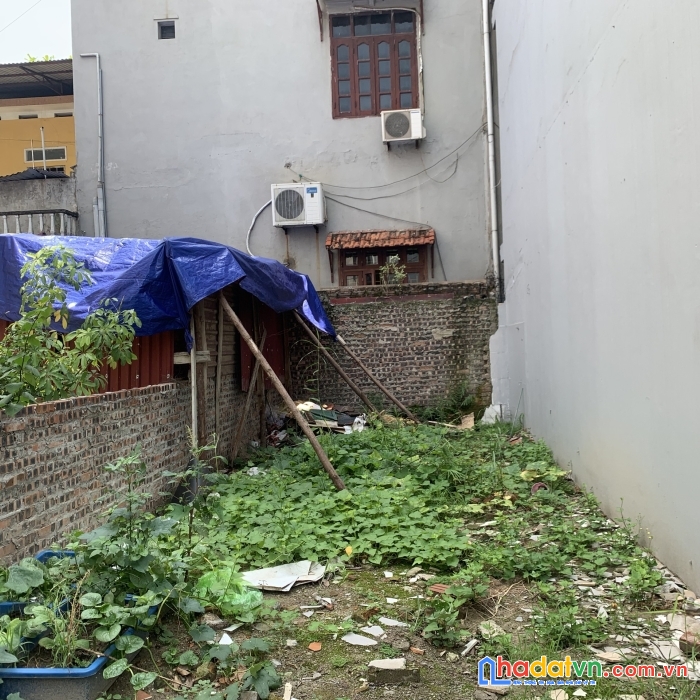 Bán gấp 50m2 đất phố keo, kim sơn, gia lâm chỉ 1.175 tỷ