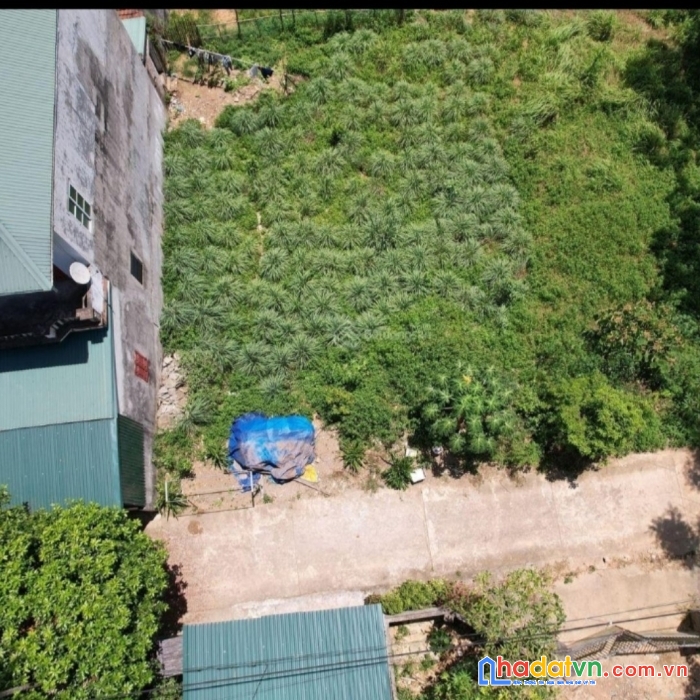 Bán đất lâm sơn lương sơn - 210m full thổ cư - ngõ thông ô tô tránh - gần đường ql6