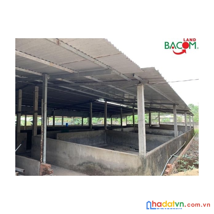 Bán đất 1327m2, sổ hồng riêng, trong cụm cn vlxd tân an, vĩnh cửu, giá chỉ 2 tỷ