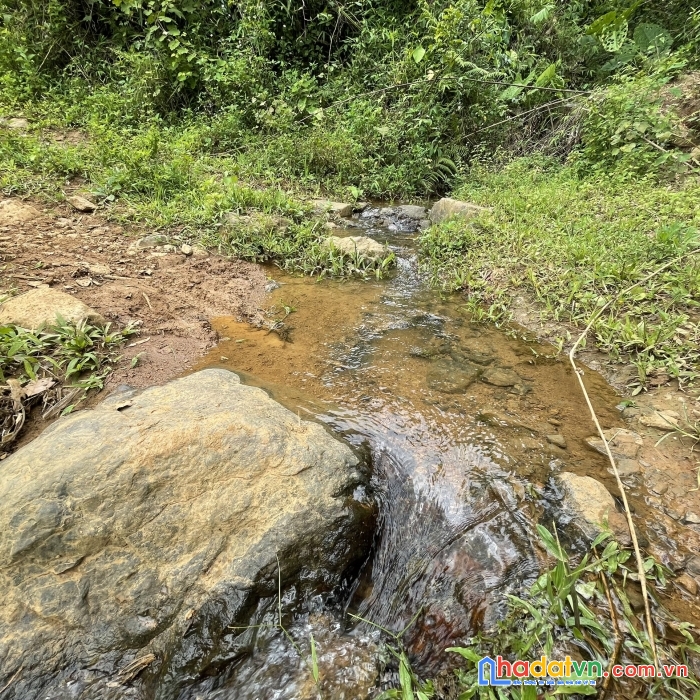 Anh trai gửi bán mảnh đất 5ha view ruộng bậc thang có suối cao phong- hoà bình