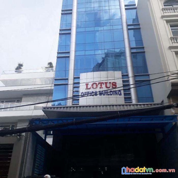 Mt 16 cửu long p.2 q.tân bình, 9,1x32m, hầm 8 tầng, thang máy, hđ thuê 380tr/tháng