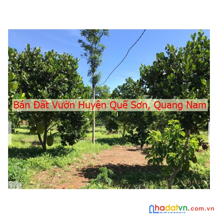  bán mảnh đất vườn ở huyện quế sơn
