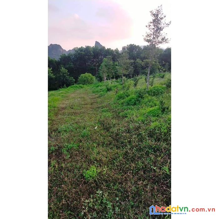 Bán đất nghỉ dưỡng lâm sơn lương sơn 670m full thổ cư - view thoáng - giá 3.2 tr/m
