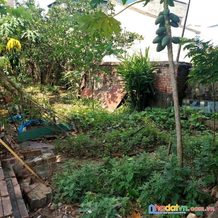 Bán đất vạn phúc thanh trì ngon bổ rẻ - đầu tư - chỉ có 1 lô duy nhất – 55m2,giá  1,48tỷ