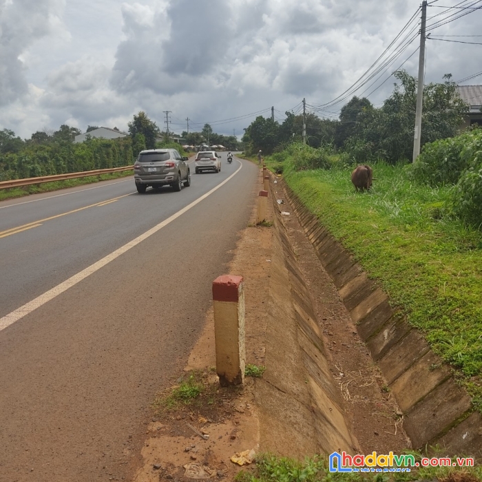 Chính chủ bán gấp lô đất siêu rẻ, siêu đẹp cách ql14a , đắk mil 80m