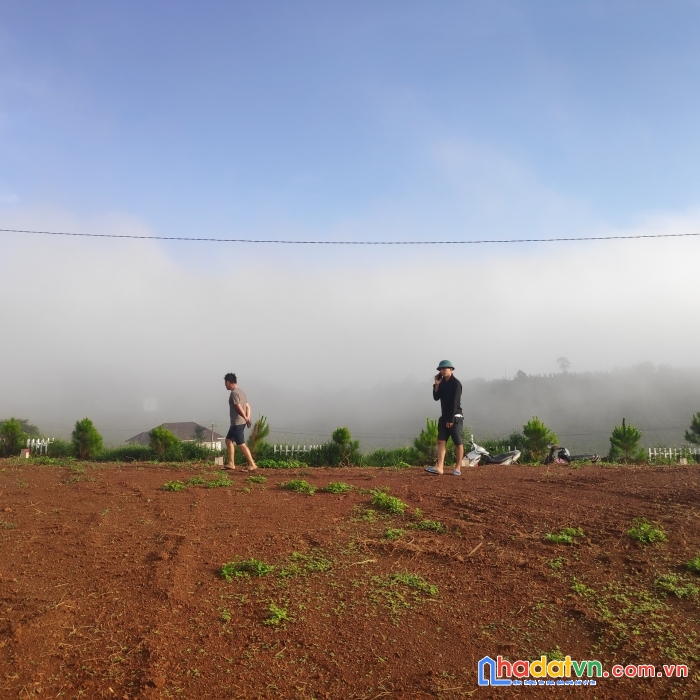 Đất nền đầu tư, gần cao tốc, mặt tiền đường lạc long quân