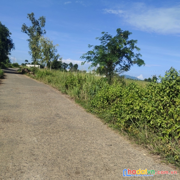 Cần vốn làm ăn bán nhanh lô đất sẵn nhà cấp 4 tại hàm thạnh