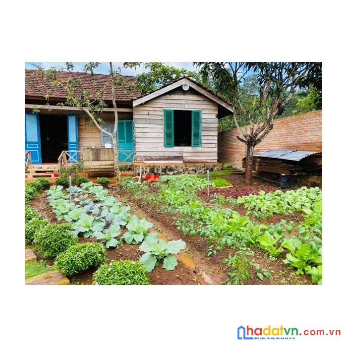 Chính chủ bán nhà, khu trần khát chân, 2 mặt thoáng, 40m2, mt 4m, nhỉnh 3 tỷ
