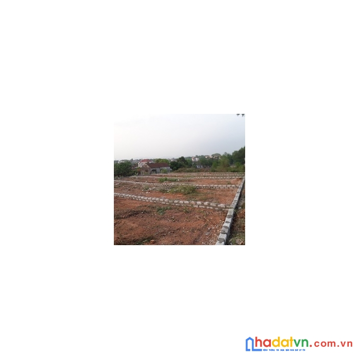 Chính chủ cần bán đất tại huyện lạng giang- tỉnh bắc giang