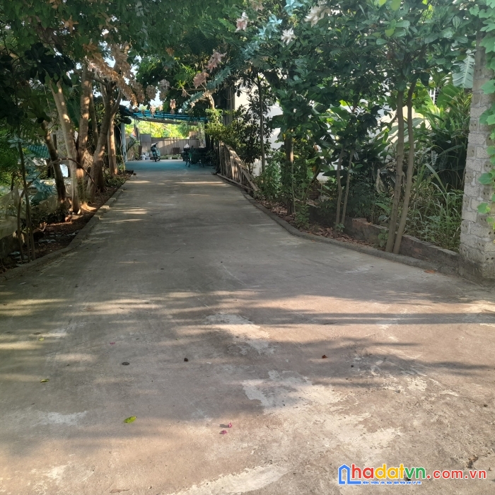 Chính chủ bán 90m2 full thổ cư tại tân xã giá nhỉnh tỉ nằm ngay sát trục chính cạnh công ty may
