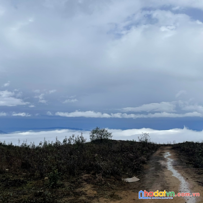 Bán gấp mảnh đất tại trung trải - y tý ( sapa2 ). đất view siêu đẹp tại y tý