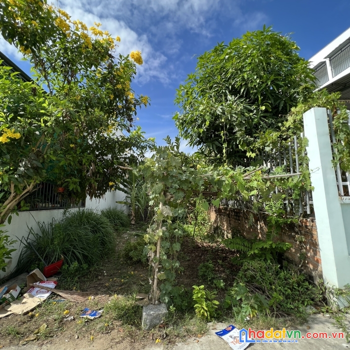 Đất hẽm 505 vĩnh ngọc 16tr/m2.