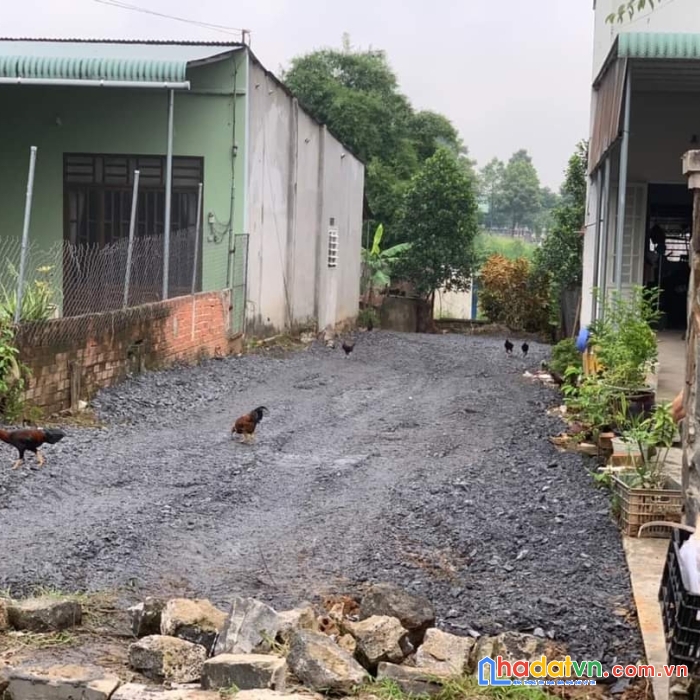 Nhà chính chủ cần bán lô đất vị trí đẹp tại đồng nai