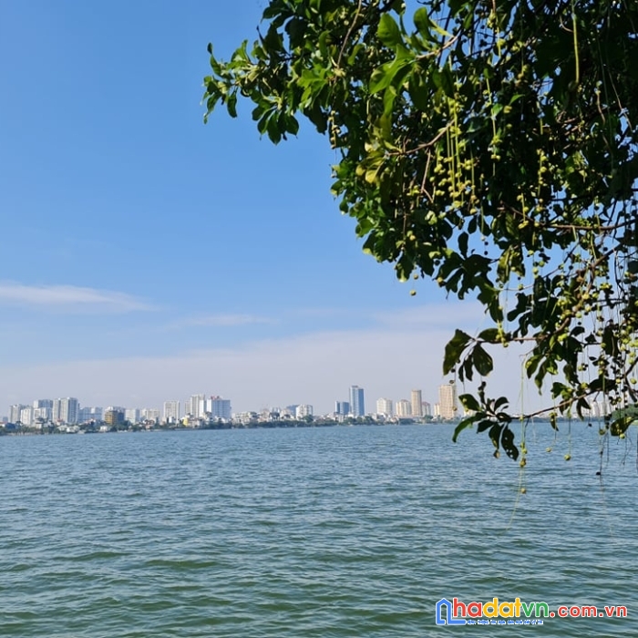 Hiếm tây hồ. đất vàng_mặt ngõ_vỉa hè ôtô, kinh doanh phố đặng thai mai, 212m2, giá 48 tỷ
