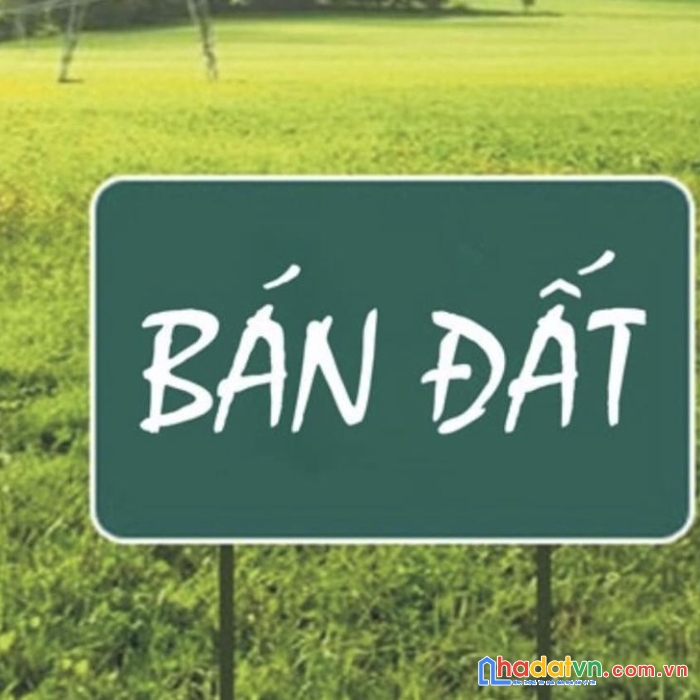 Bán gấp 85m2 đất_lô góc, mặt ngõ 50 phố đặng thai mai, tây hồ_vỉa hè ôtô, kd, giá 26.5 tỷ