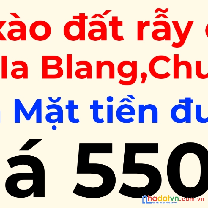 Bán 2,5 xào đất rẫy có 50m mặt tiền đường xã ia blang, gia lai.