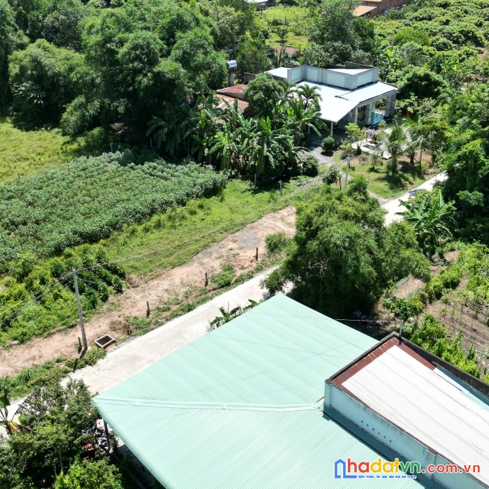 Hiệp thạnh,gò dầu đầu tư sinh lời cao