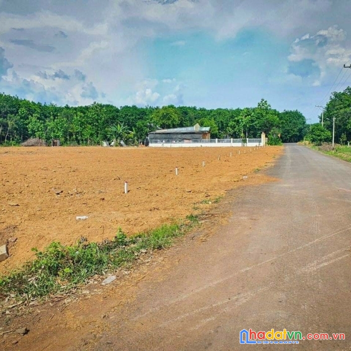 Giá chỉ 399 triệu gần 200m2 thổ cư, ngay khu dân cư, đường nhựa nhà nước 8m quy hoạch mở rộng 18m,