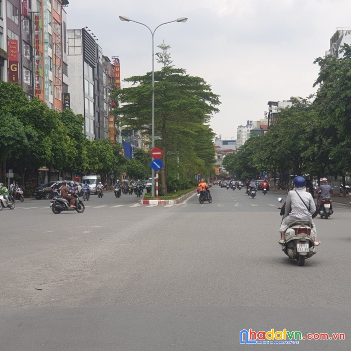 Đất vàng_lô góc_mặt phố trần thái tông, cầu giấy: 3300m2, mặt tiền 80m, giá thỏa thuận