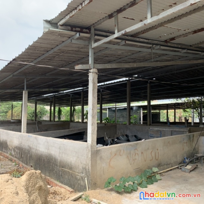 Cho thuê trại heo kcn tân an vĩnh cửu 1327m2 shr đường xe tải chỉ 6 triệu /tháng