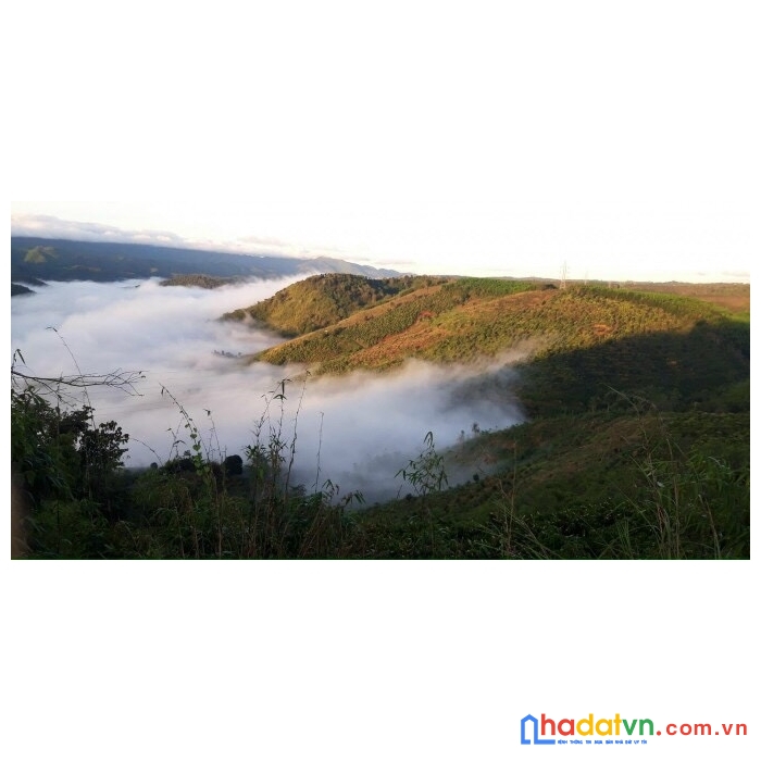 Đất nghỉ dưỡng view đồi  giá 5,8tr/m2 
ra trung tâm tp bảo lộc 15p