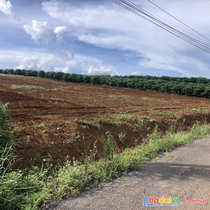 Đất thổ cư bảo lộc, mặt tiền đường, gần chợ 2,9tr/m2