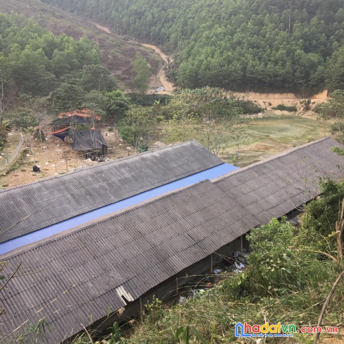 Chính chủ cần bán đất tại đại từ, thái nguyên