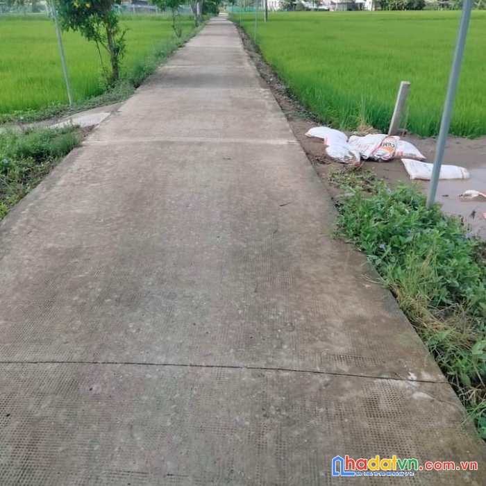 Chính chủ gửi bán 6 lô đất thổ cư mt đường ấp xóm mới