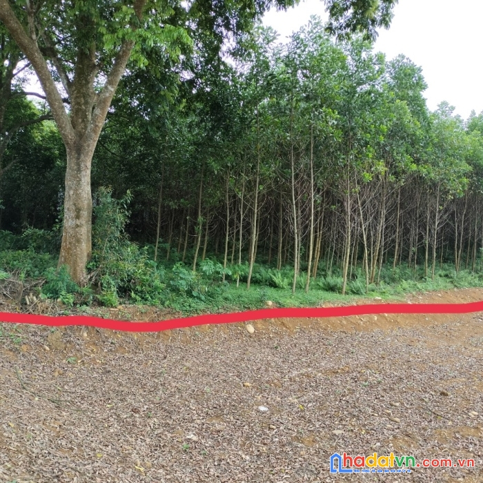 Chính chủ gửi bán đất tại toà lạc, xã cao dương, lương sơn, hoà bình