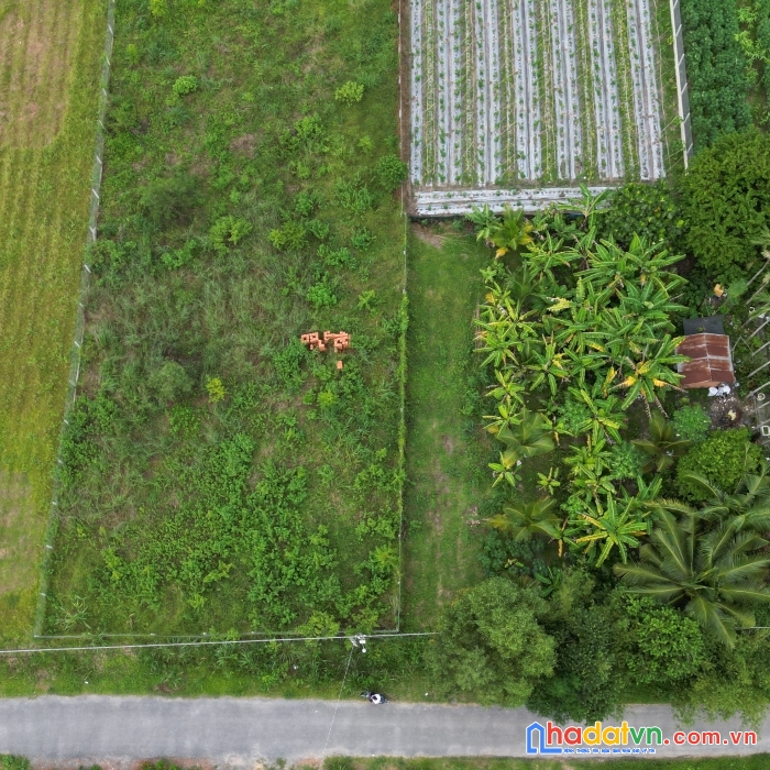 Cần bán đất xóm đòng