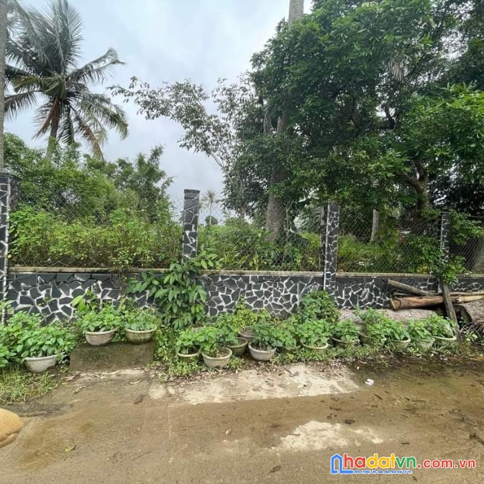 Cần bán đất vị trí đẹp tiềm năng cao tại tỉnh gia lai