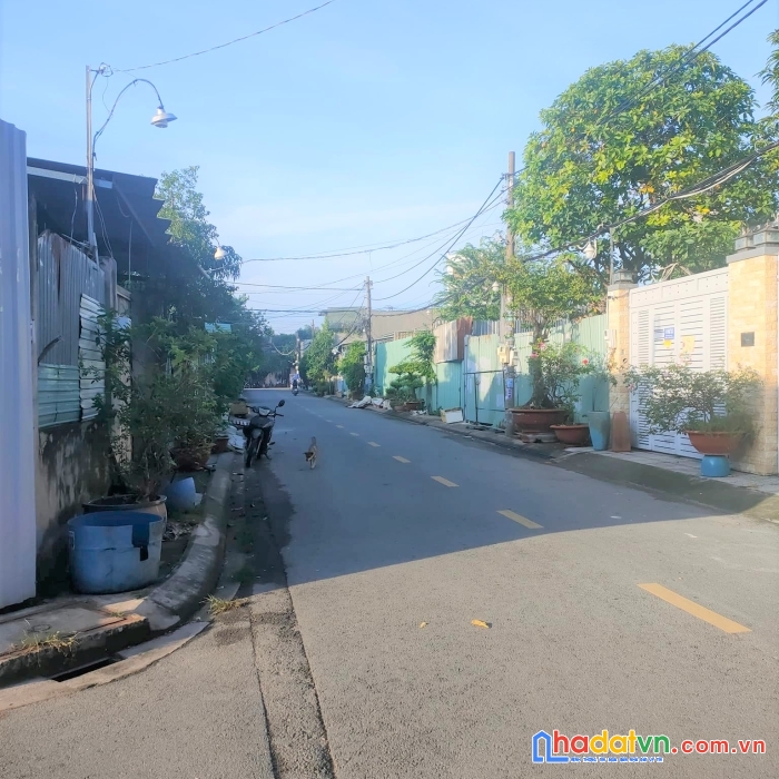 Đất lớn gần 1.500m2 vuông vắn thới tam thôn hóc môn