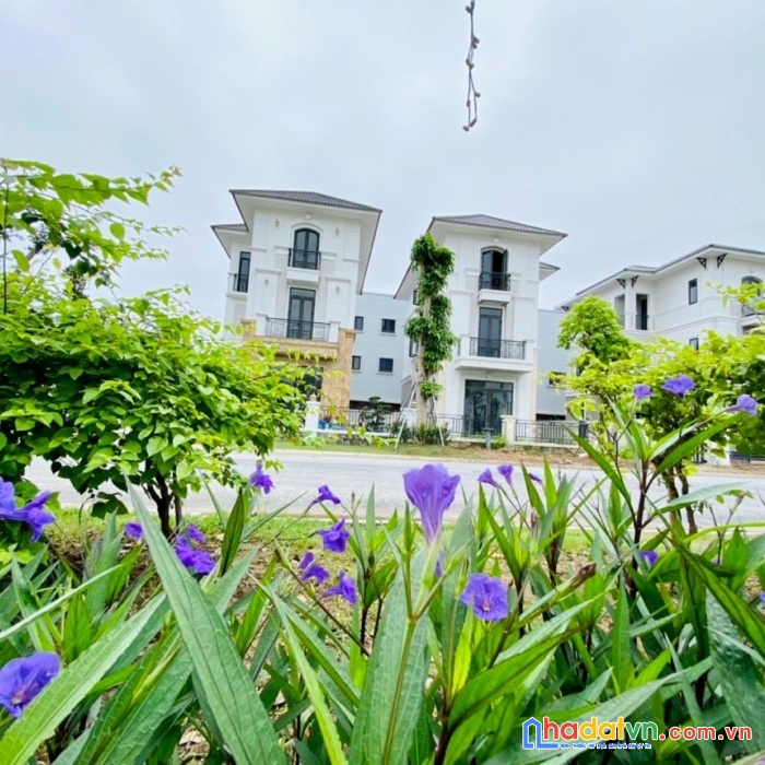 Biệt thự siêu xinh giá siêu đep cơ hội tăng giá trị tài sản 20-25%/năm.