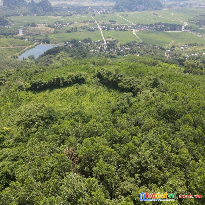 Bán đất kim bôi, hòa bình, 37ha