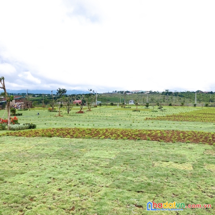 Đất nền lộc tân. full thổ, mặt tiền đường. vị trí đẹp giá 600tr. liên hệ 0708 503 554