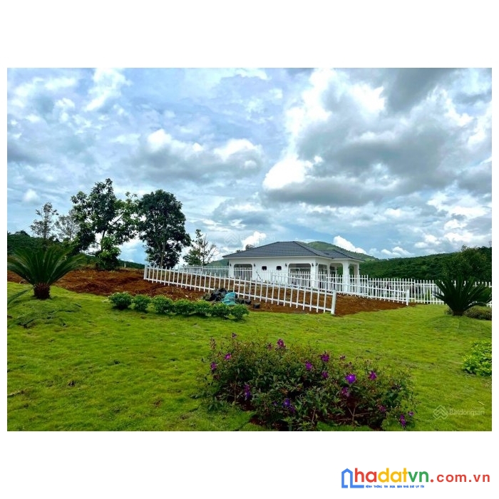 Có phải bạn đang muốn tìm?