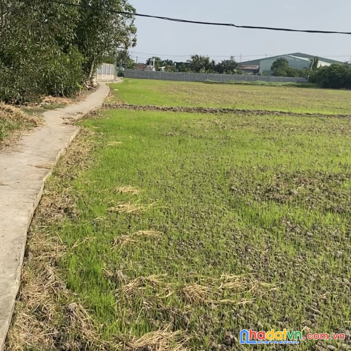 Bán nhanh lô đất vị trí đắc địa tại thành phố tân an