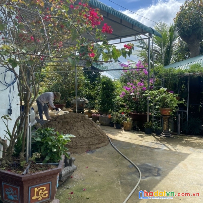 Đất bảo lộc - 30m mặt tiền - có sẵn giấy phép kinh doanh - trái cây