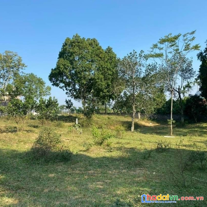 Bán nghỉ dưỡng cư yên - lương sơn - 1900m giá 2.x tr - hàng xóm toàn biệt thự - homestay