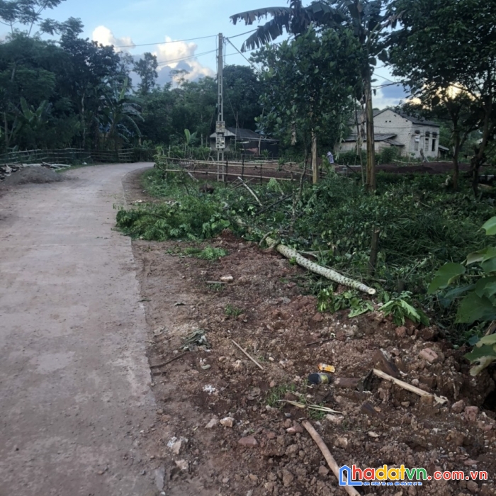 Bán 1500m2 bám mặt đường liên xã view cánh đồng  tại phú vinh- tân lạc -hoà bình vài trăm triệu