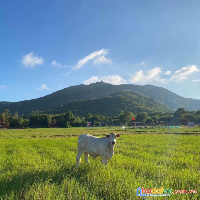 Bán lô đất 3176m2 gần sân golf skylake tại lương sơn- hoà bình