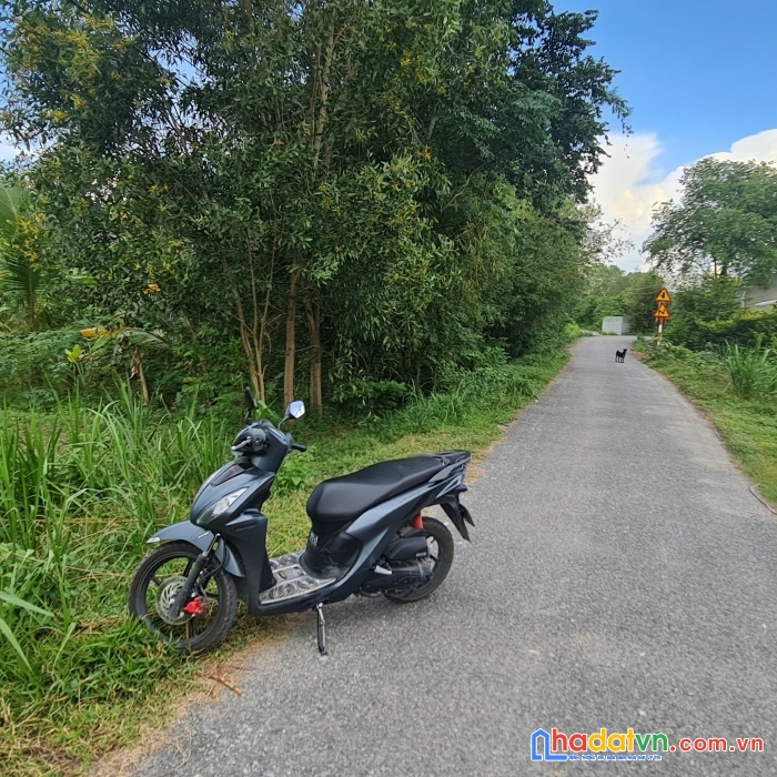 Cần bán đất rẻ