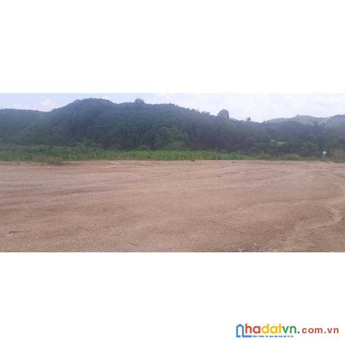 Bán nhanh 20 lô đất đấu giá mặt tiền đường lớn tại trấn yên - yên bái.