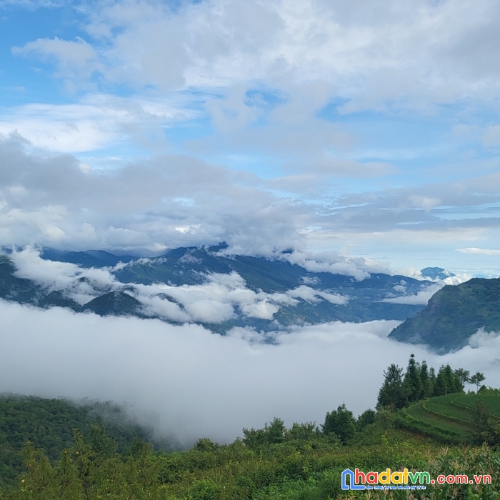 Mảnh đất diện tích rộng giá rẻ phù hơp  nhiều loại hình tiêu chí nhu cầu kinh doanh